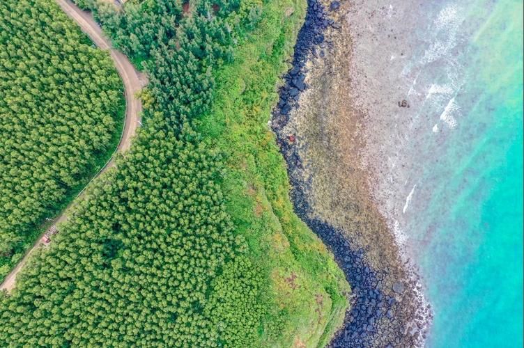  海南儋州峨蔓镇12月1日本土确诊疫情趋势:儋州峨蔓镇最新消息