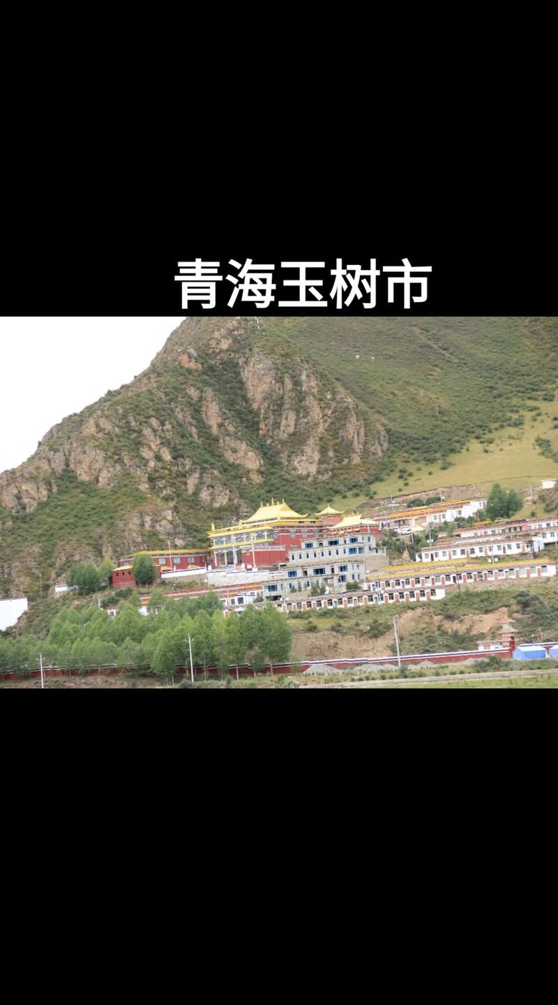 青海玉树藏族自治州今冬新增8例核酸阳性/1223青海玉树