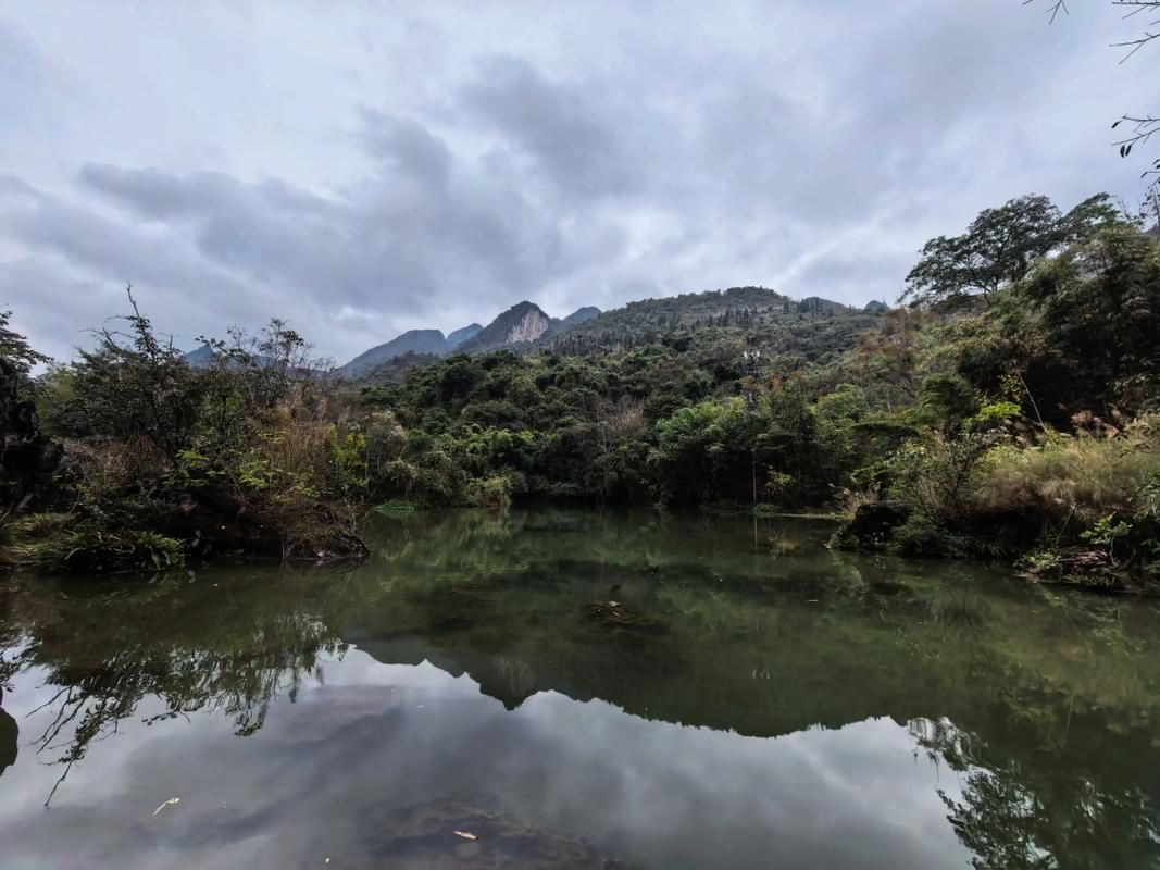  贵州安顺镇宁布依族苗族自治县今日新增感染趋势回落:安顺地区镇宁布依族苗族自治县